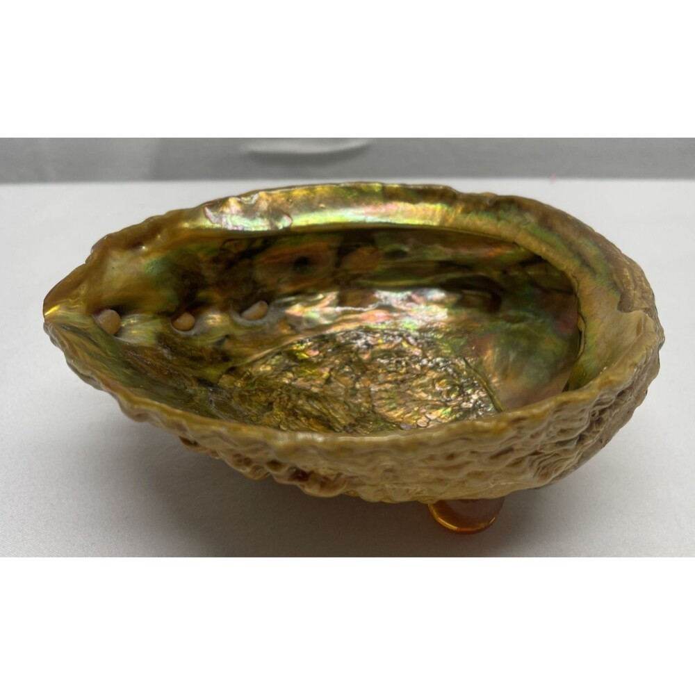Vintage Iridescent Abalone Shell Trinket Candy Dish Footed Bowl Natural Decor